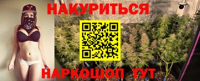 сатива Обнинск
