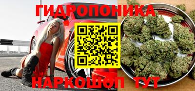 сатива Обнинск