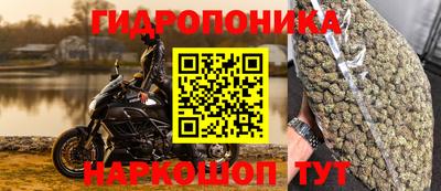 сатива Обнинск